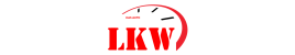 DasAutoLKW